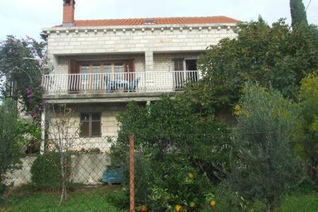 Honey Bee Cavtat Apartment ภายนอก รูปภาพ