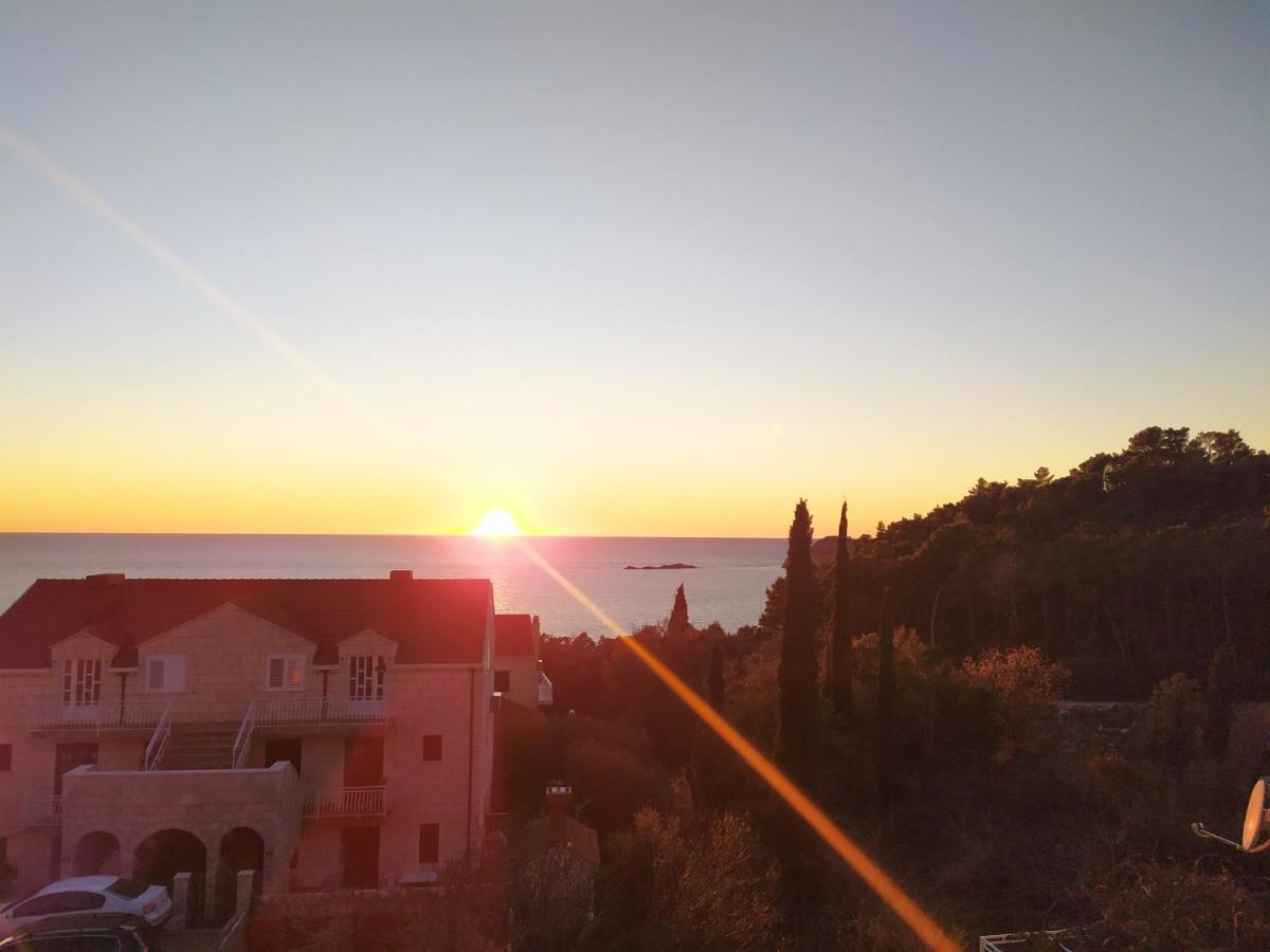 Honey Bee Cavtat Apartment ภายนอก รูปภาพ
