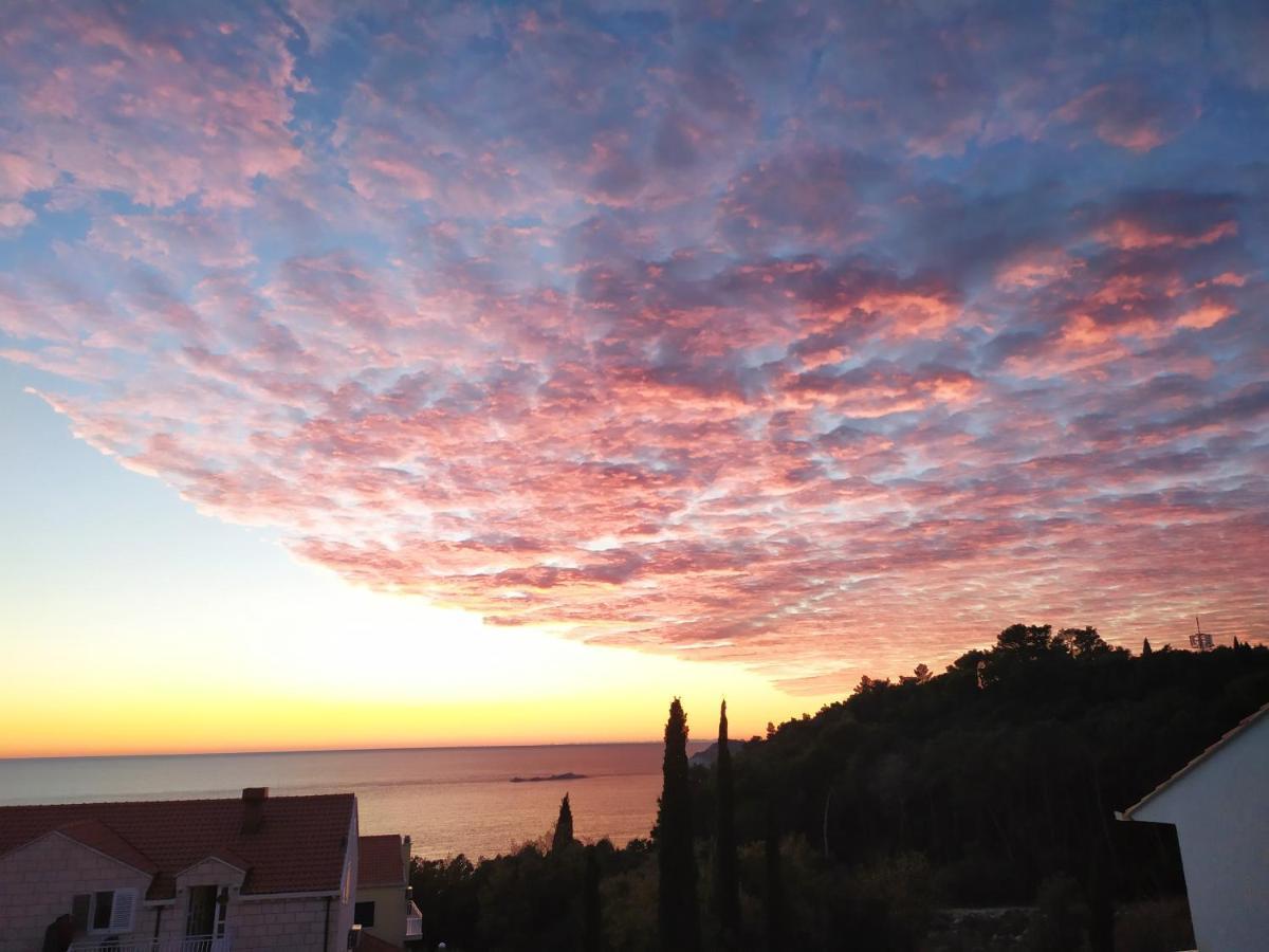 Honey Bee Cavtat Apartment ภายนอก รูปภาพ